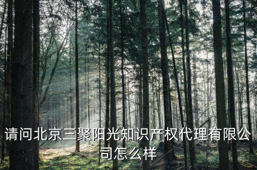 請(qǐng)問北京三聚陽光知識(shí)產(chǎn)權(quán)代理有限公司怎么樣
