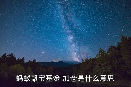 基金加倉(cāng)是什么意思，螞蟻聚寶基金 加倉(cāng)是什么意思