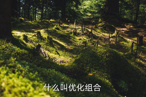 優(yōu)化重組是什么書，什么叫優(yōu)化組合