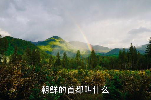 朝鮮總統(tǒng)府叫什么，朝鮮元首有專門的住所嗎有的話在哪