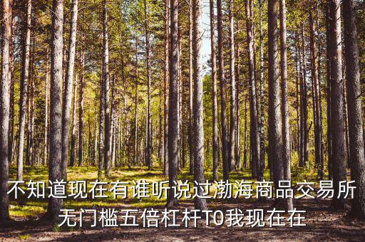 渤海商品多少倍杠桿是什么意思，專業(yè)做期貨的口中所謂幾倍杠桿幾倍杠桿到底是啥意思