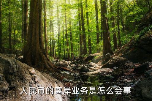 為什么會有離岸人民幣，人民幣的離岸業(yè)務(wù)是怎么會事