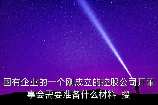 國有企業(yè)的一個(gè)剛成立的控股公司開董事會(huì)需要準(zhǔn)備什么材料  搜