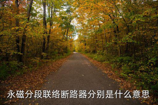 什么是永磁開關(guān)，什么是永磁