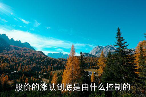 是什么控制了中國股市，是什么在操縱股市的大盤