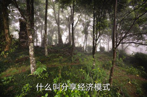 什么是分享經(jīng)濟(jì)，通俗講什么是分享經(jīng)濟(jì)