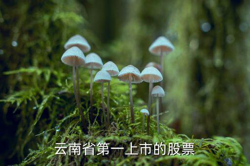 沃森生物是什么股，業(yè)績(jī)巨虧的沃森生物為什么股價(jià)那么高