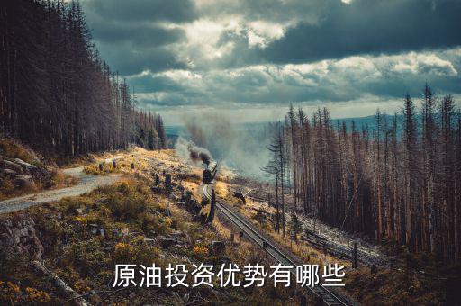 國家對投資原油有什么扶持，原油是國家支持的嗎
