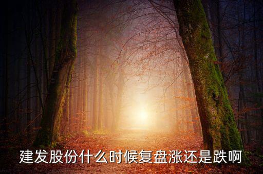 002719股什么時候復(fù)盤，000719什么時候復(fù)牌啊