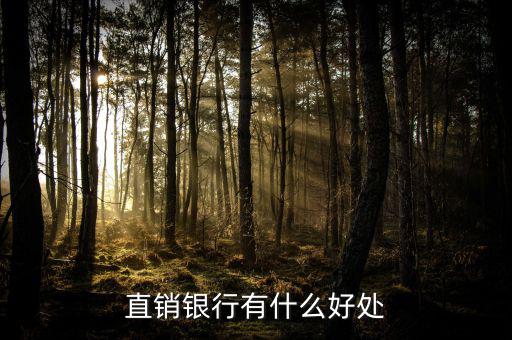 浦發(fā)直銷銀行能干什么，銀行直銷部是做什么的