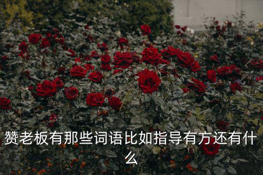 什么成語能夠形容房地產(chǎn)老板，贊老板有那些詞語比如指導(dǎo)有方還有什么