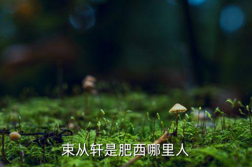 朱從玖肥西什么地方人，kimson肥西是哪里人