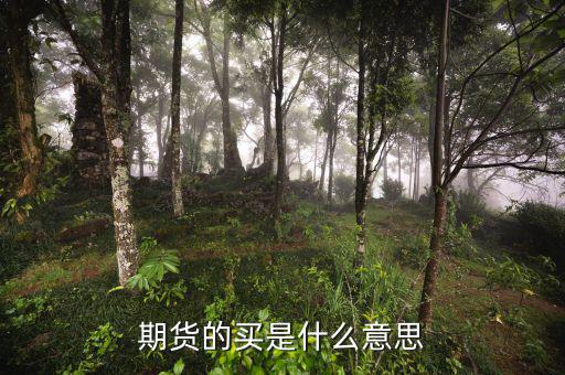期貨買(mǎi)是什么意思，期貨的買(mǎi)是什么意思