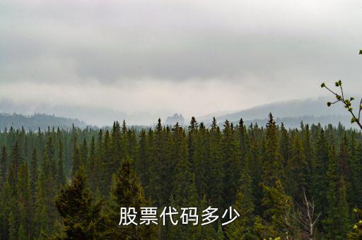 b股代碼以什么開(kāi)頭，a股和b股代碼怎樣區(qū)分