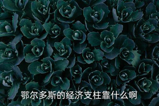 為什么鄂爾多斯經(jīng)濟發(fā)展，鄂爾多斯市是什么原因讓其發(fā)展如此迅猛