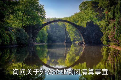 沈陽(yáng)投資公司跑路市政府什么解決，詢(xún)問(wèn)關(guān)于外資企業(yè)倒閉清算事宜