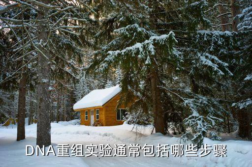 理工監(jiān)測重組什么，典型的DNA重組實(shí)驗(yàn)通常包括哪些步驟