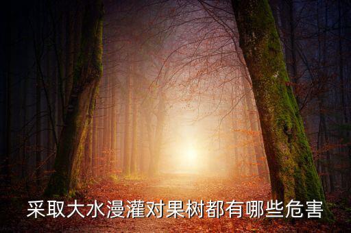 廣西地區(qū)大水漫灌導(dǎo)致什么，在干旱半干旱地區(qū)采取大水漫灌的灌溉方式可能會(huì)導(dǎo)致土地鹽漬化