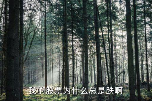 捷城股份為什么一直跌，有被捷成投資騙的人嗎咱們一起去告他