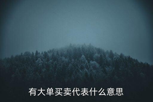 在買(mǎi)5成交有大單是什么意思，股票中大單是什么意思