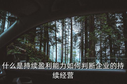 什么是持續(xù)盈利能力，什么是具備持續(xù)贏利能力的行業(yè)