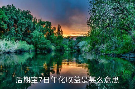 活期寶七日年化是什么意思，活期寶7日年化收益是甚么意思