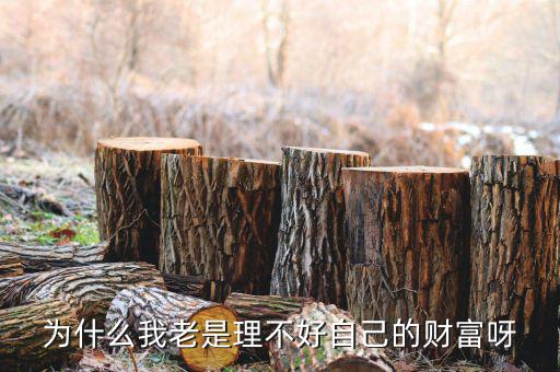 財(cái)富為什么不好說說理由，我?guī)蛣e人回答問題為什么說財(cái)富不足