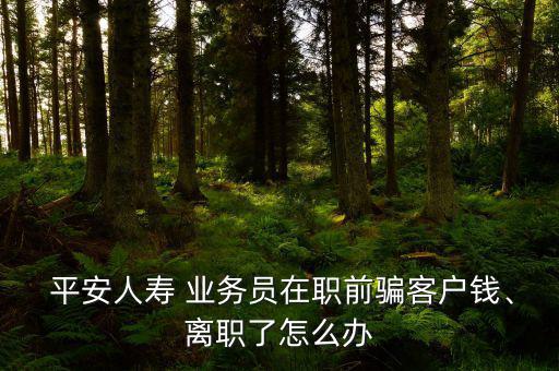  平安人壽 業(yè)務(wù)員在職前騙客戶錢、離職了怎么辦