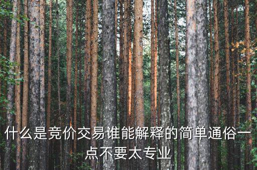 什么是競價(jià)交易誰能解釋的簡單通俗一點(diǎn)不要太專業(yè)