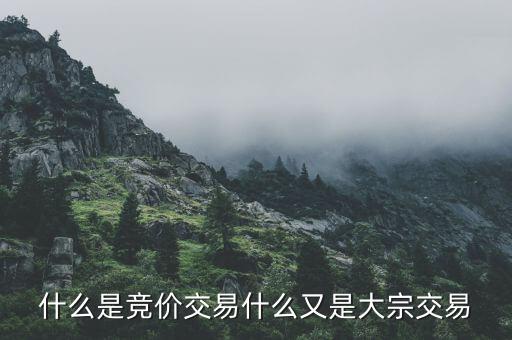 什么是競價(jià)交易什么又是大宗交易