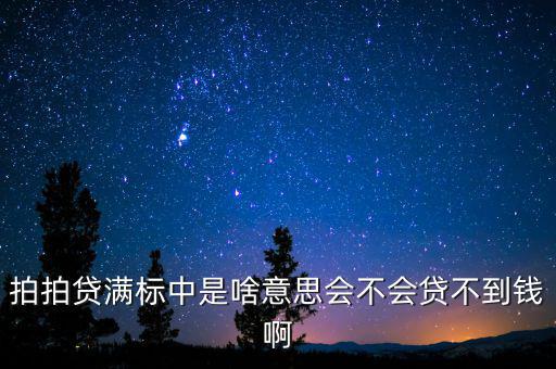 拍拍貨不滿標什么意思，拍拍貸滿標是什么意思