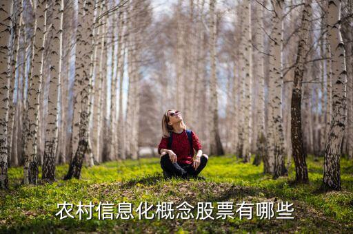農(nóng)村富了什么股票，農(nóng)村信息化概念股票有哪些