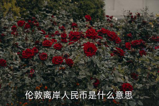 離岸人民幣是什么意思，在岸人民幣和離岸人民幣是什么意思