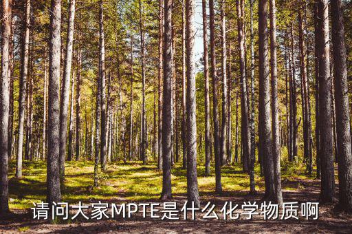 汽油的mpte是什么，汽油里MPTE是什么