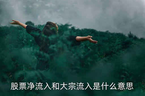 股票大宗流入是什么意思，股票凈流入額大宗流入什么意思