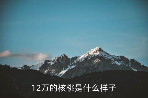 36萬核桃長(zhǎng)什么樣，大家看這個(gè)核桃做的怎樣值多少