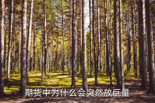 做期貨為什么，期貨的來(lái)源是什么