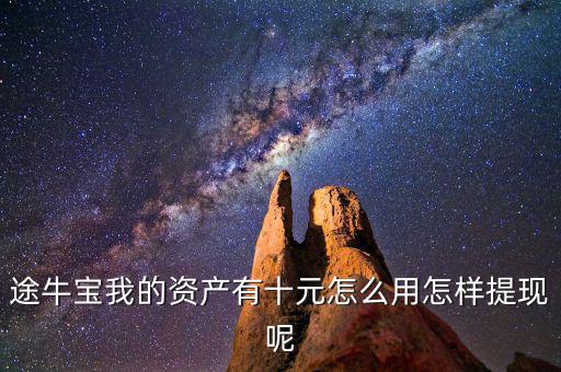途牛寶我的資產有十元怎么用怎樣提現呢