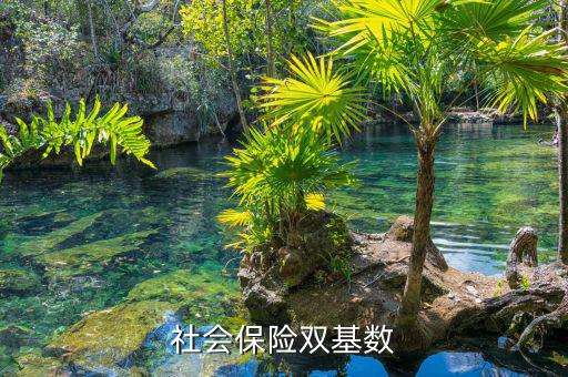 社會保險(xiǎn)雙基數(shù)