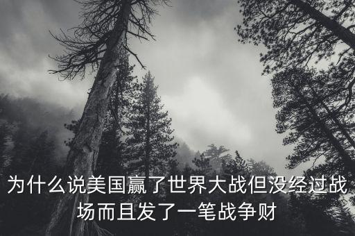 為什么說美國贏了世界大戰(zhàn)但沒經(jīng)過戰(zhàn)場(chǎng)而且發(fā)了一筆戰(zhàn)爭(zhēng)財(cái)