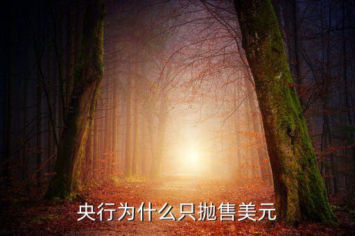 中國(guó)為什么拋售美債，中國(guó)為什么要減持美債