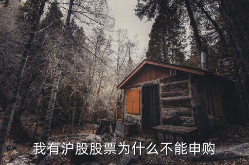 為什么我不能申購(gòu)滬市新股，我有滬股股票為什么不能申購(gòu)