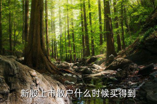 散戶什么時(shí)候才能買到新股，新股上市散戶什么時(shí)候買得到