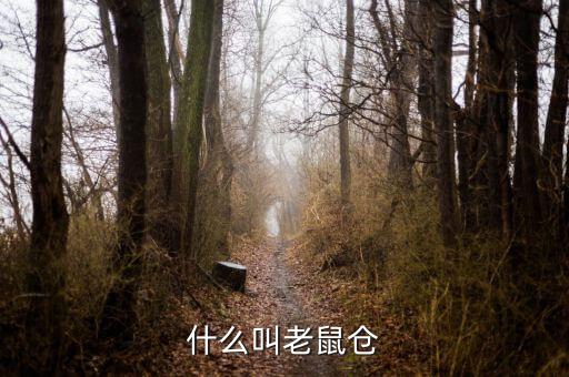 什么是老鼠倉圖形，股票中什么是老鼠倉呢簡明即可