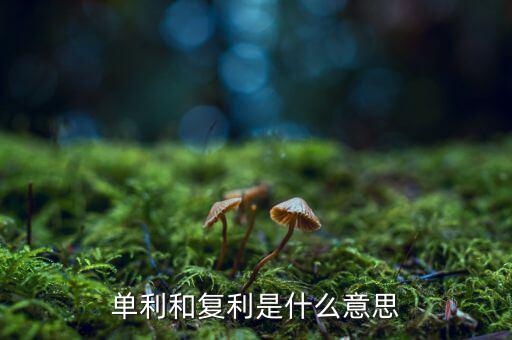 什么叫間斷復(fù)利，單利和復(fù)利是什么意思