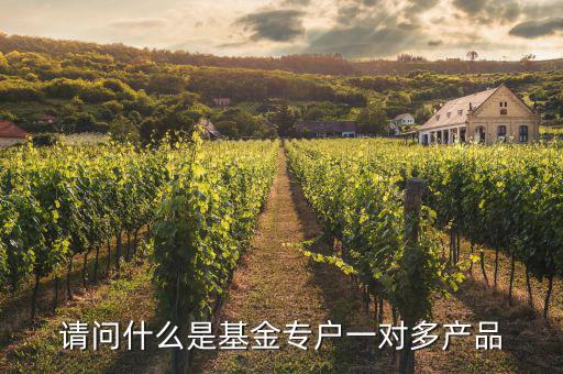 一對(duì)多專戶是什么意思，請(qǐng)問什么是基金專戶一對(duì)多產(chǎn)品