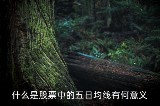 5日均線有什么用，什么是股票中的五日均線有何意義