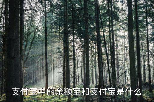 余額寶和支付寶是什么意思，支付寶里的余額寶是什么意思