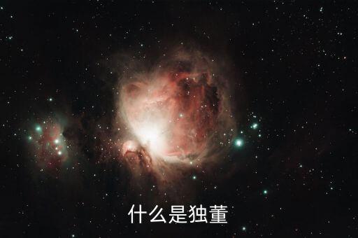 為什么董建華獨(dú)董，我國(guó)上市公司的獨(dú)立董事的來(lái)源主要有哪些