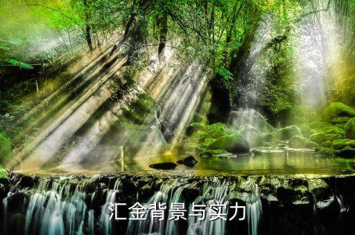 江蘇匯金控股什么背景，匯金公司是怎么回事